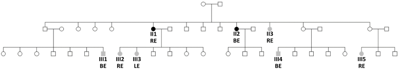 An external file that holds a picture, illustration, etc., usually as some form of binary object. The name of referred object is rmmj-15-1-e0005-g002.gif